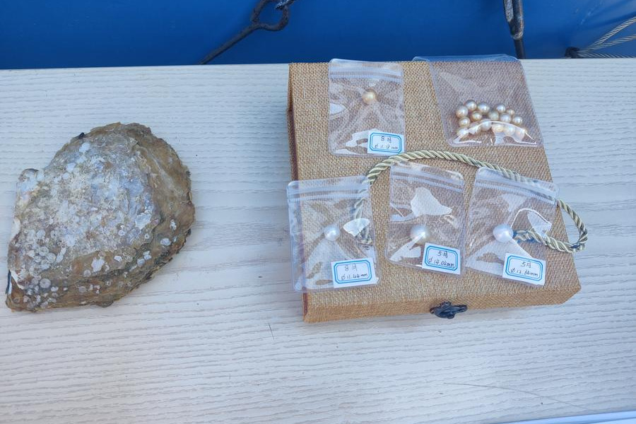 Hainan oysters yield lustrous pearls