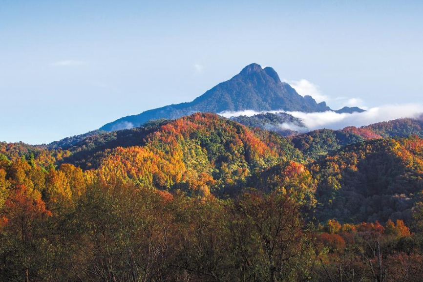 Competition advances biodiversity study tourism, rural vitalization in Boao