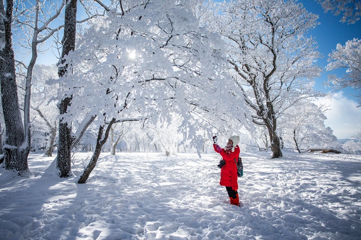 A dreamlike winter wonderland in Jilin