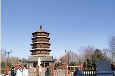 Li Junhu: Focusing on cultural development