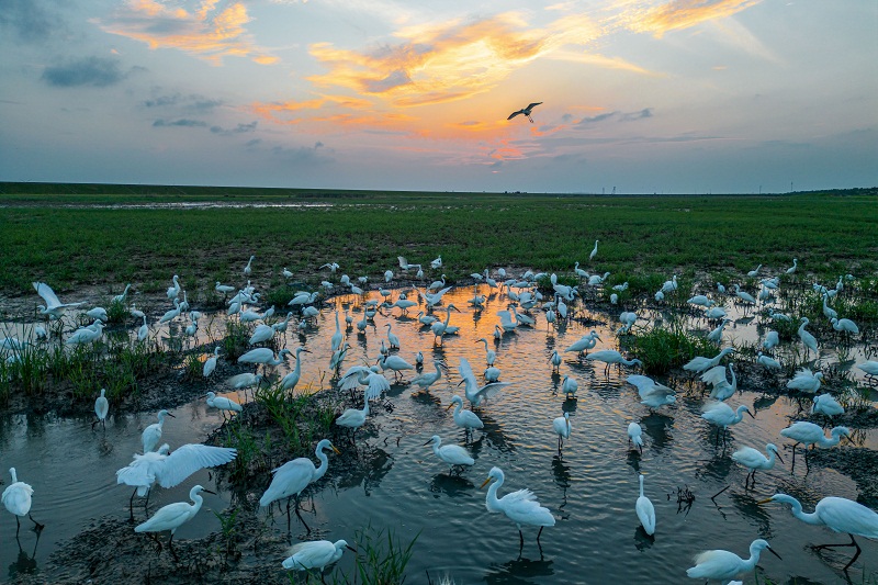 Photo exhibition showcases vibrant Qidong city