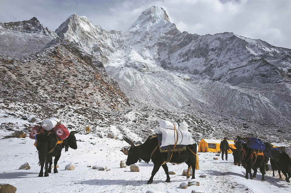 Mount Qomolangma Scenic Area to reopen on March 1