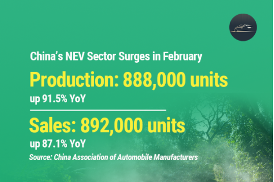 China's NEV output, sales surge in February