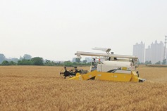 Shanxi promotes agricultural product processing industry