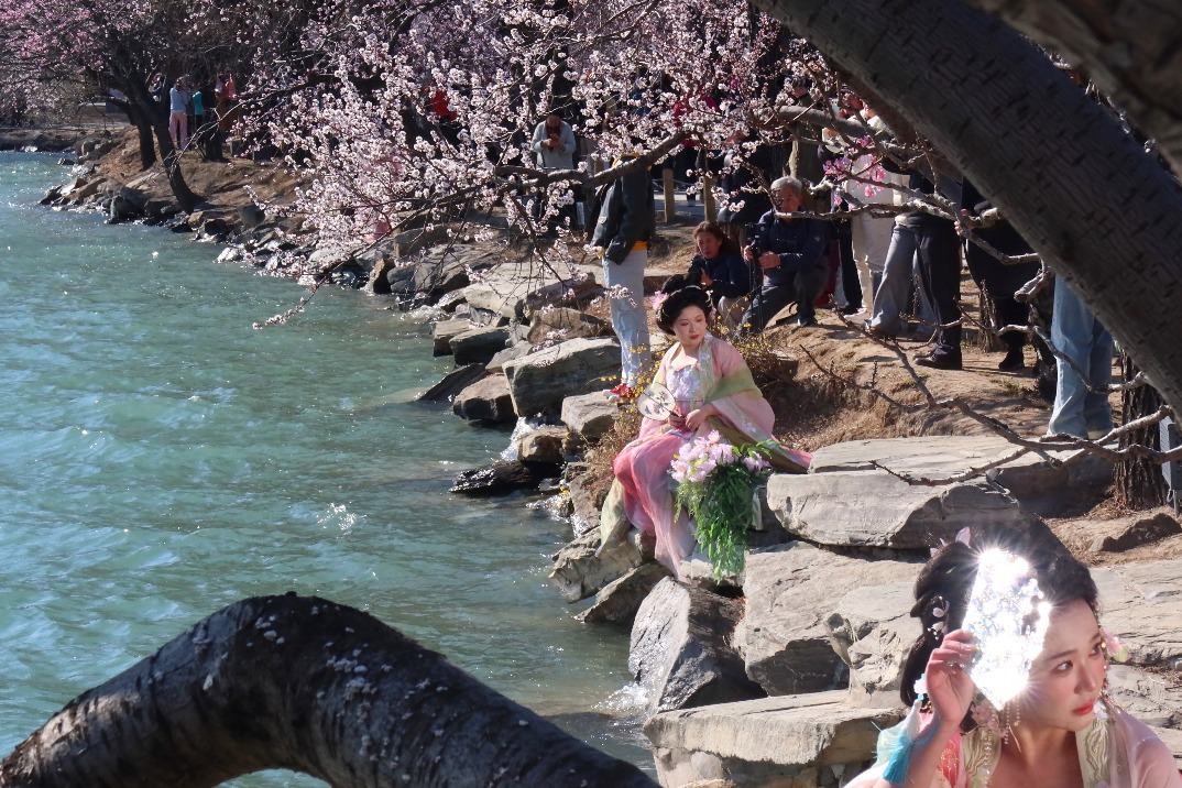 Summer Palace in full bloom