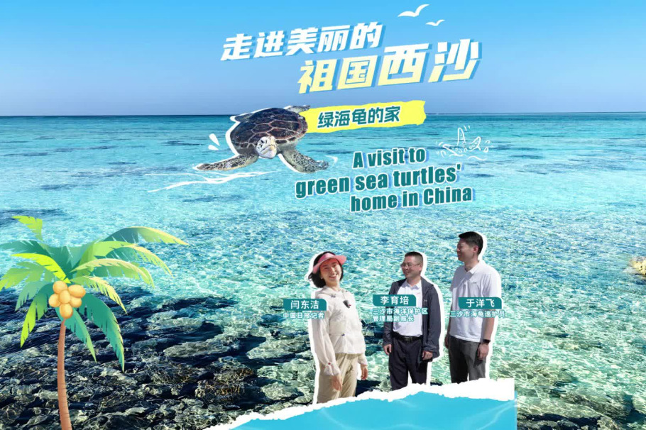 Sansha conservation work protects green sea turtles