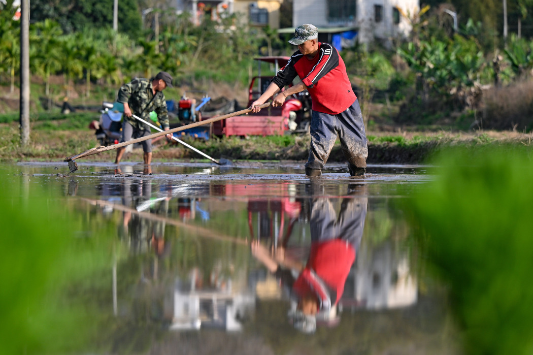 Farming activities in full swing in China's Hainan in early spring
