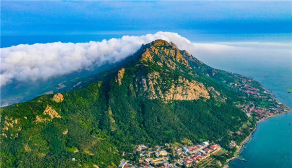 Shandong revives its coastline, marine biodiversity