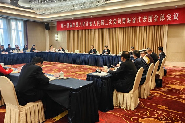 Qinghai plays peacemaker between birds and power grids