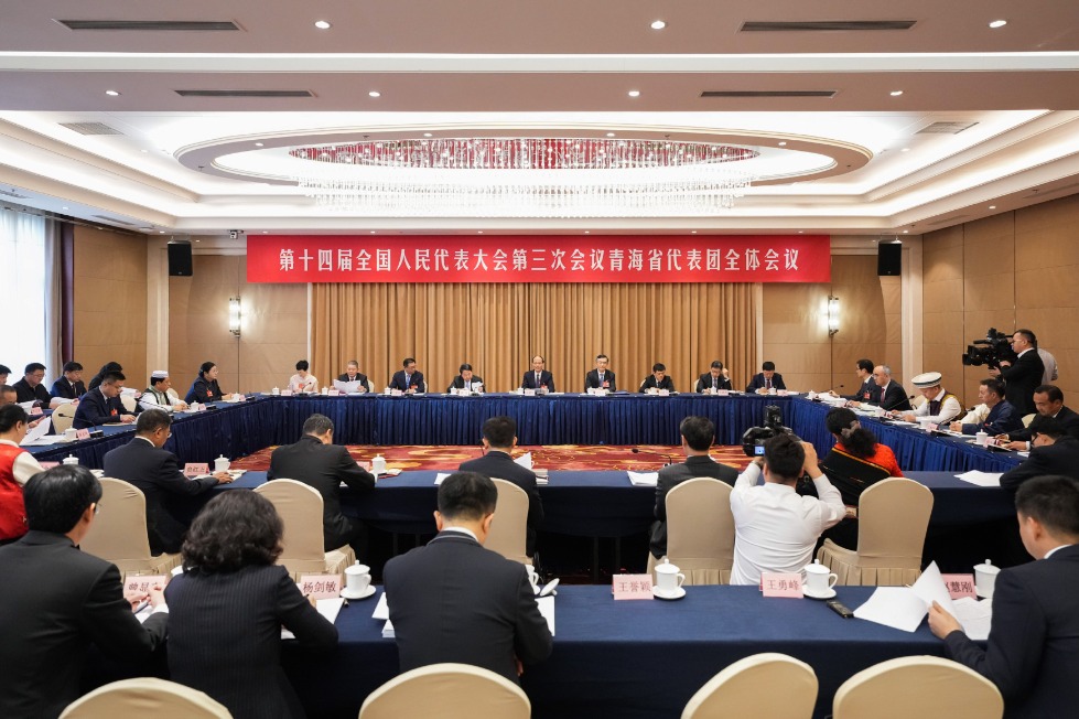 NPC delegation from Qinghai province holds group meeting at annual legislative session