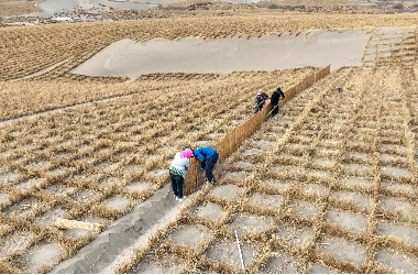 Innovative sand control measures strengthen Jinta's green barrier