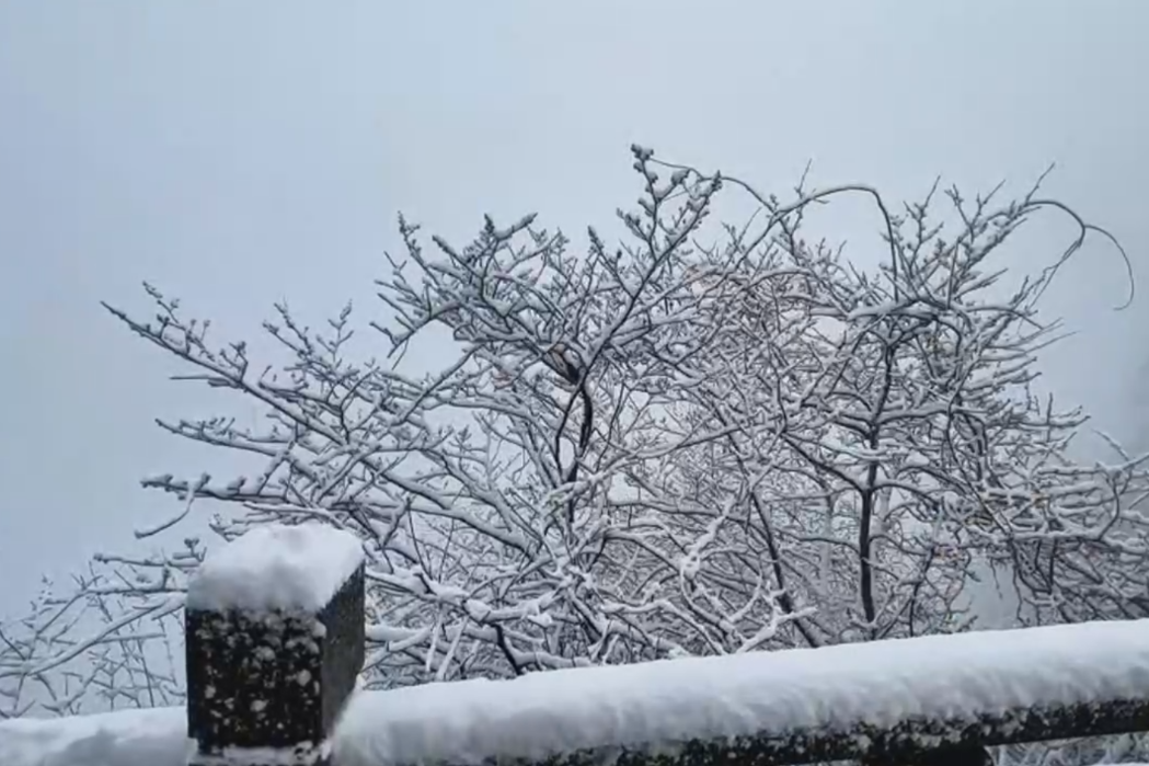 Snowfall transforms Zhangjiajie into stunning winter paradise