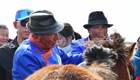 Horse culture festival shines in Ordos