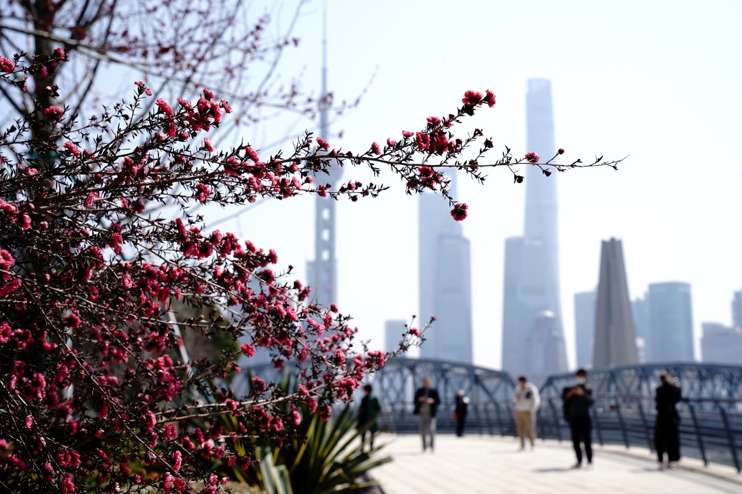 Shanghai's tourism revenue hits record high of 576 billion yuan in 2024