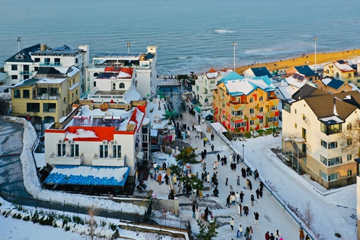 Policy support, industrial upgrading drive Shandong's marine economy boom