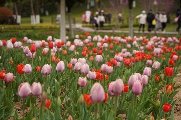 Xi'an secures top 10 spot in Qingming holiday travel rankings