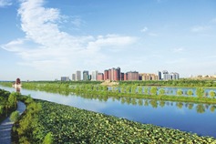 Shanxi's Fenhe River Basin sees significant ecological improvement