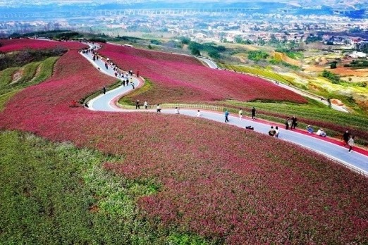 Yukou in Xi'an recognized as beautiful leisure village
