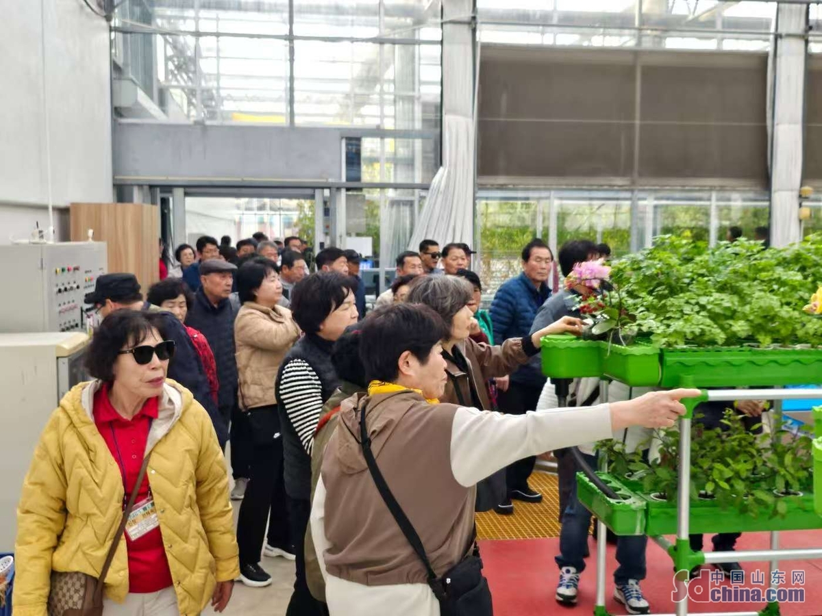 Yantai, Kunsan to deepen agricultural cooperation