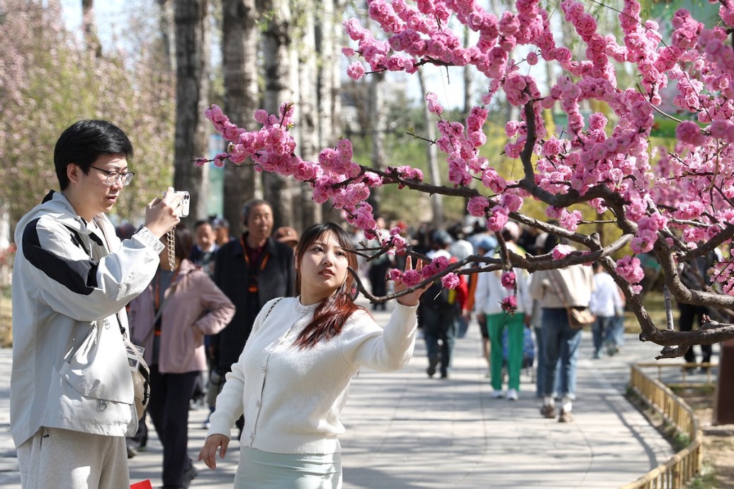 Explore the 30th Spring Outing Festival at Yuanmingyuan Park