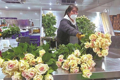 Zibo bolsters green development with energy project