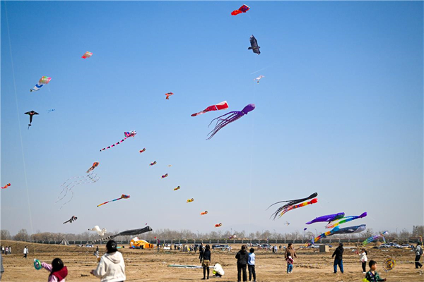 Kite festival brings holiday cheer to Hohhot
