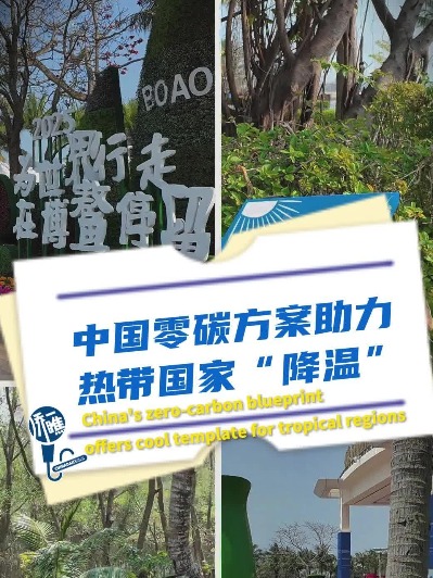 Hainan's Dongyu Island achieves zero-carbon milestone