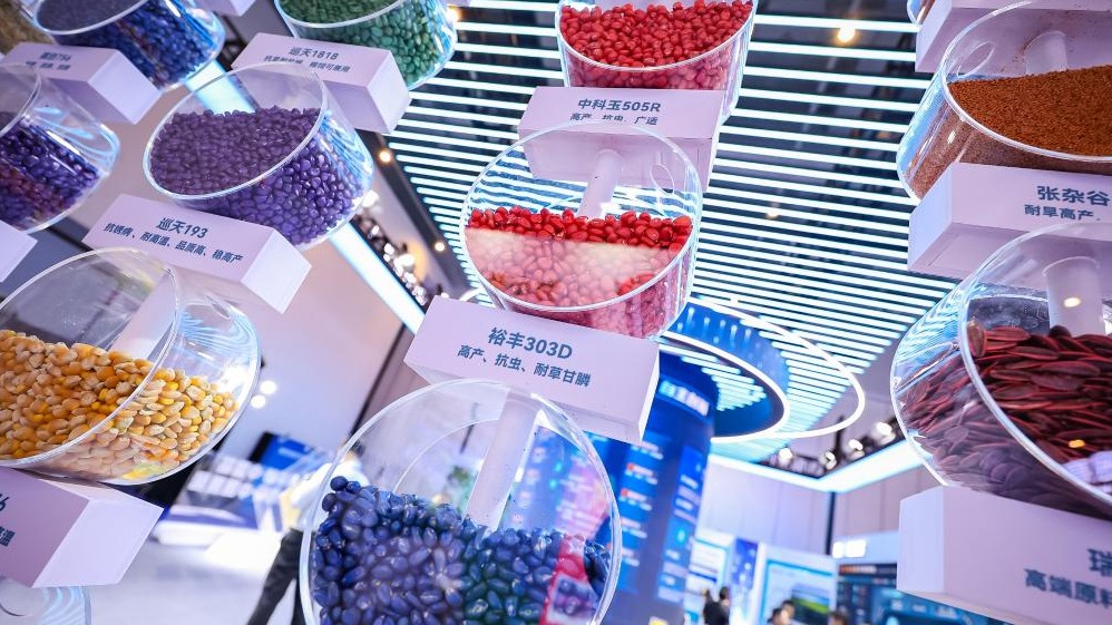 China harnesses AI to revolutionize smart breeding, crop development