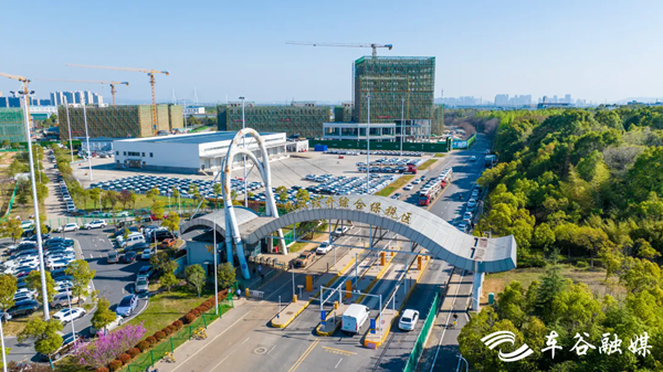 WEDZ cross-border e-commerce poised for accelerated growth