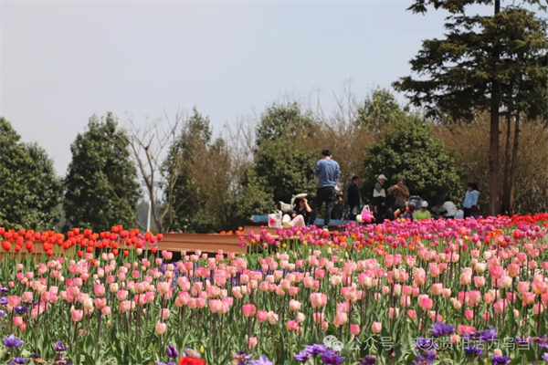 Spring activities boost holiday economy in Wudang