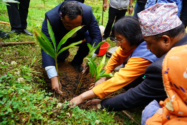 Chinese project steers Nepal's agricultural modernization
