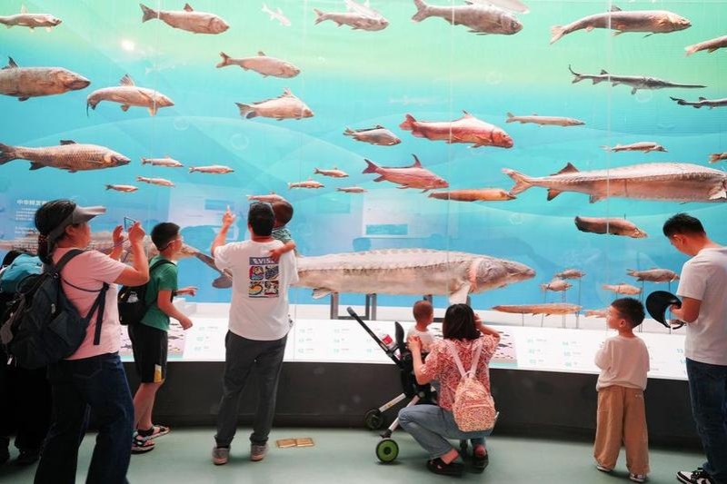 Museum visits hit record high over China's May Day holiday