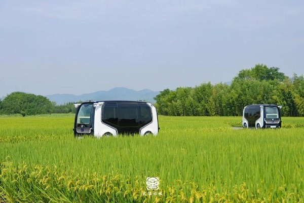 Global museum leaders, cultural experts gather in Liangzhu for UNESCO forum