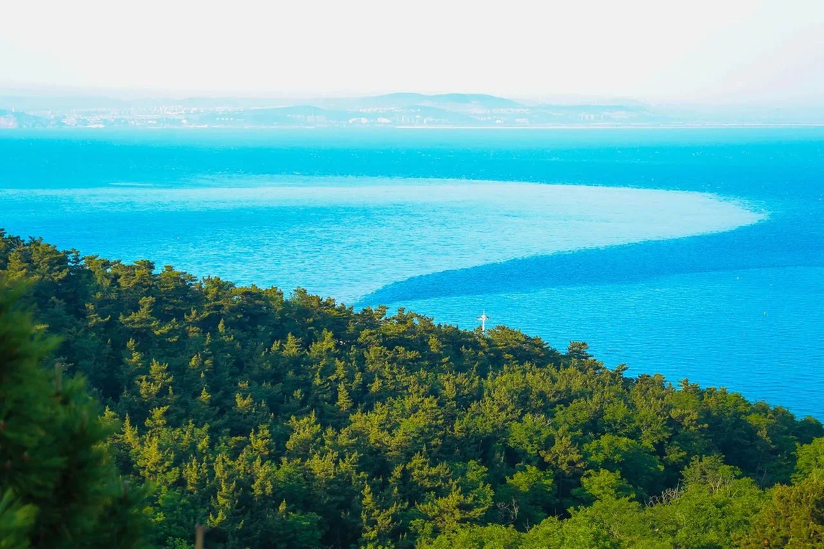 Yantai aids Caribbean island nations on green development path