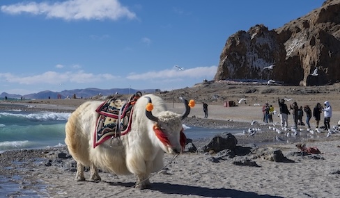 Lhasa to stage inaugural cultural tourism festival