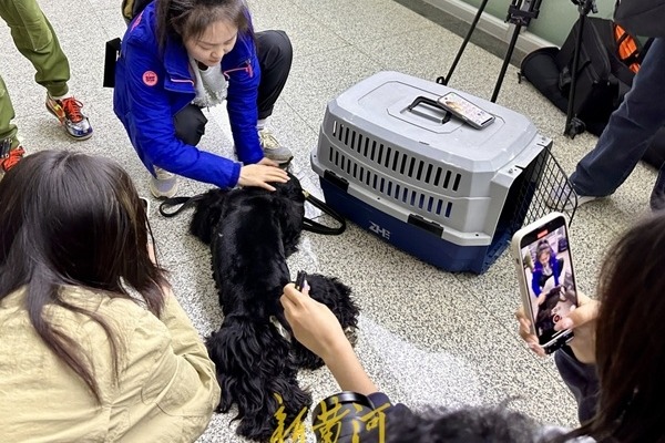 Jinan welcomes first pet-friendly high-speed train