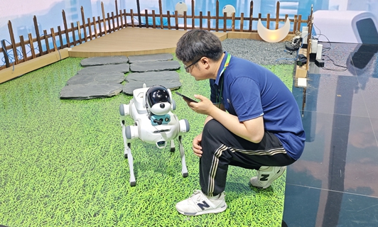 Fuzhou embraces robot dog companions