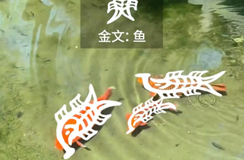 Shandong serves as living museum of Chinese characters