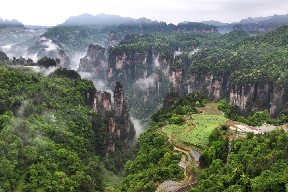 Farmland terraces grace clifftops at stunning Zhangjiajie National Forest Park