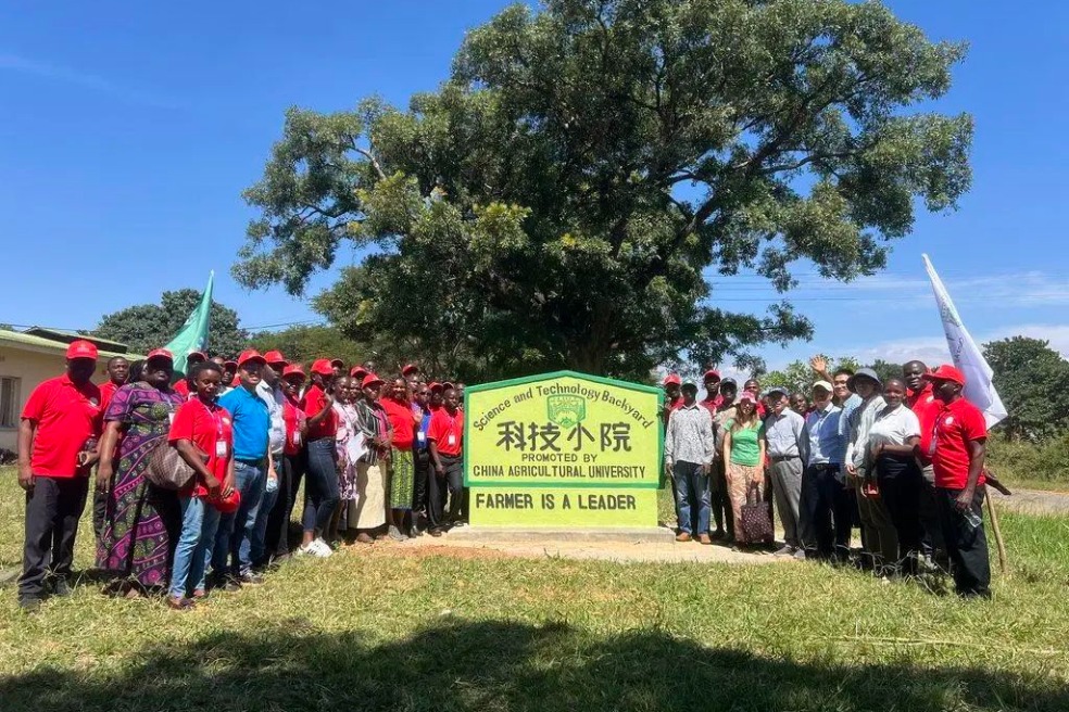 Cooperation program helps boost food output in Africa