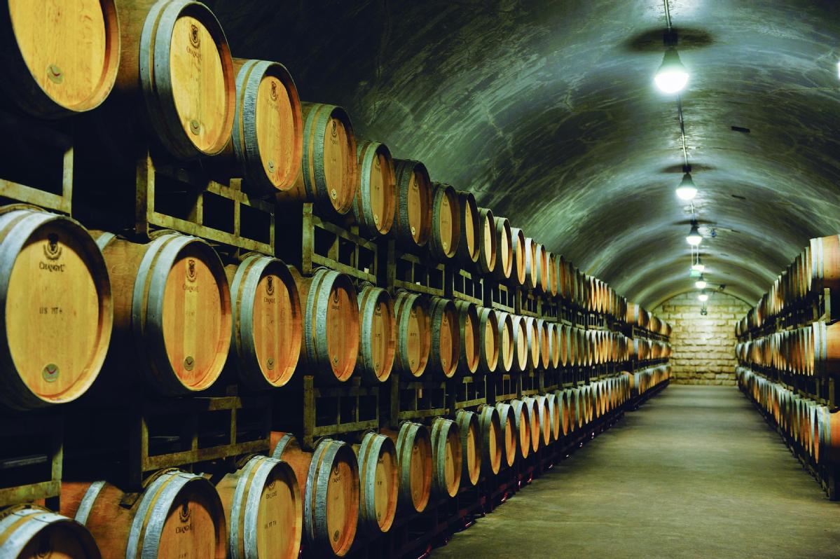 Yantai's expertise propels high-quality growth in China's wine sector