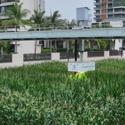 Smart breeding for food security's future