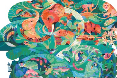 Yunnan's biodiversity nurtures miracles of nature