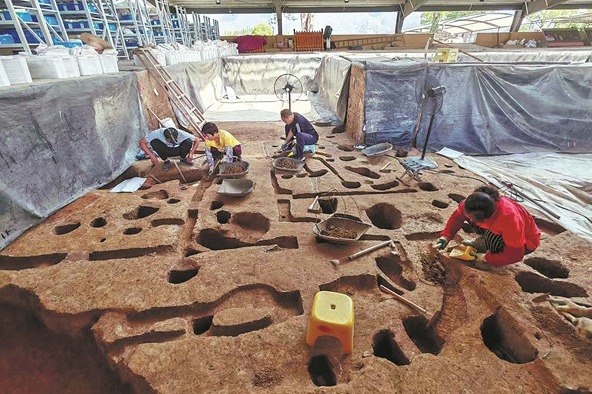 Discovery sheds light on early agriculture