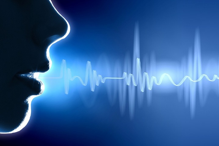 Top court upholds voice rights, curbs AI misuse