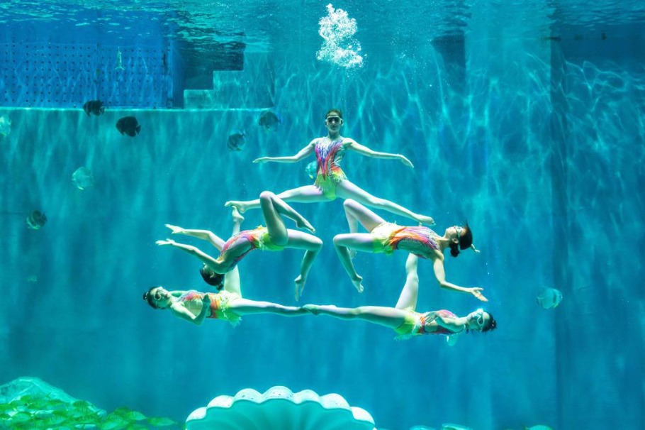 Harbin Polarpark unveils upgraded underwater show for holidays