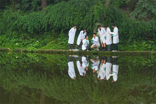 China notes decrease in environmental violations in past 4 years