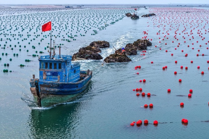 Chinese courts step up handling of maritime cases