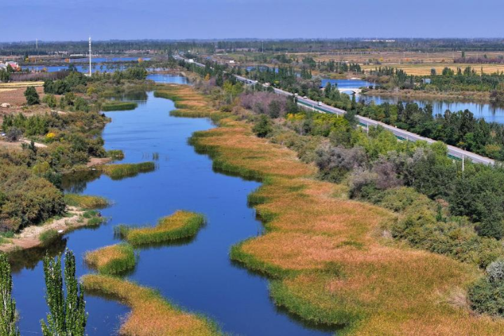 More than 5,000 new regulations enacted at local level in 10 years