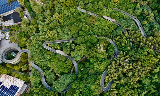 Fujian tops nation in green development